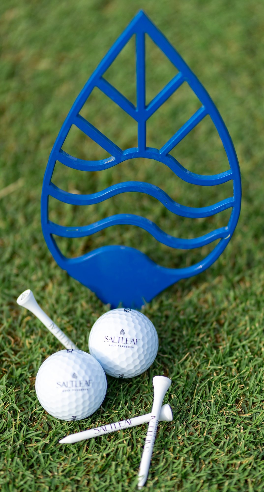 SLT_Golf_Tee
