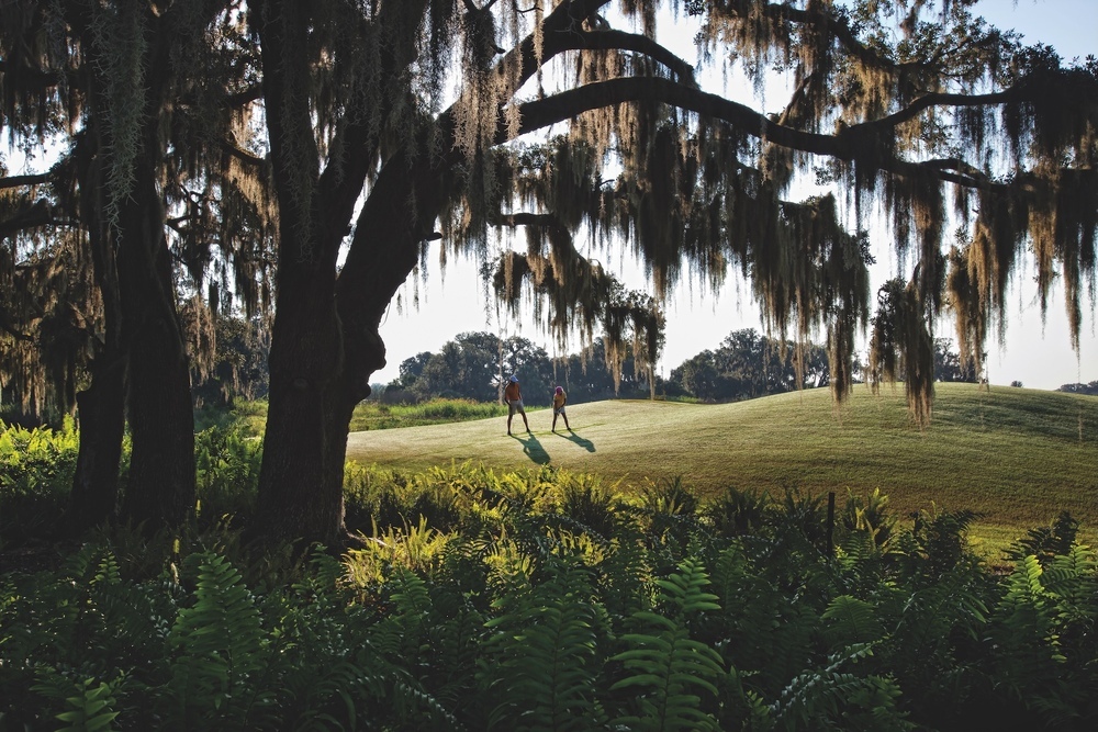 Untitled-2-1